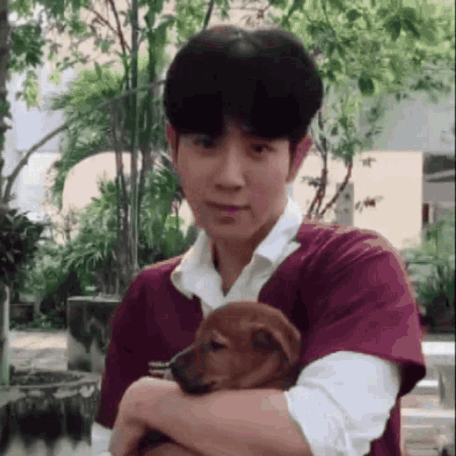 a man in a purple shirt is holding a small brown dog in his arms .