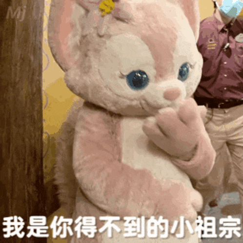 a stuffed animal with chinese writing on the bottom