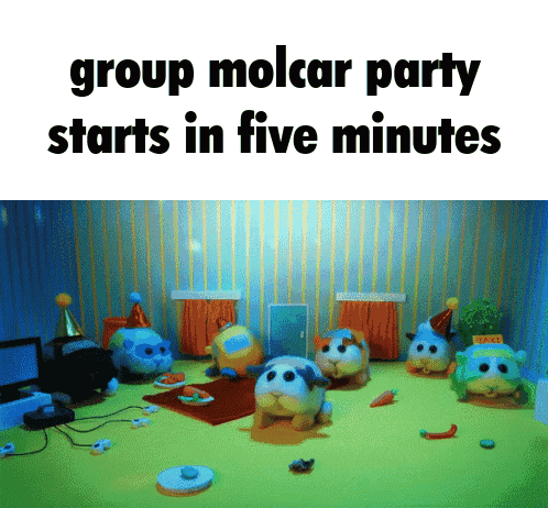 a group molcar party starts in five minutes with a bunch of stuffed animals in a room .