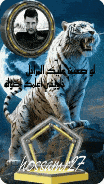 a picture of a white tiger with a man in a black suit in the background