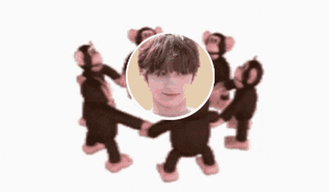 a group of stuffed monkeys are dancing in a circle around a man 's face .