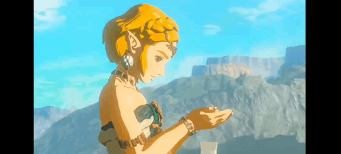 Zelda Link GIF - Zelda Link Totk GIFs