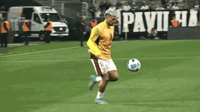 a soccer player is kicking a ball on a field with a banner that says pavilhão in the background