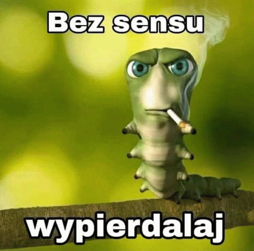 Bez Sensu GIF - Bez Sensu GIFs