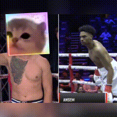 a man in a boxing ring has a cat on his face