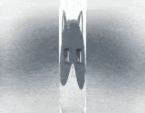a black and white photo of a reflection of a cat in a glass