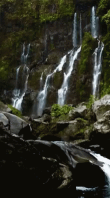 Waterfall Waterflow GIF