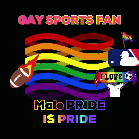 a poster that says gay sports fan male pride is pride on a black background