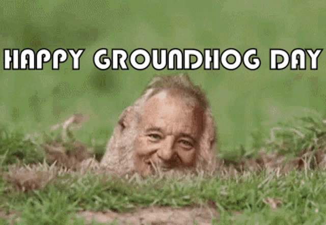 a picture of a groundhog with a man 's face on it .