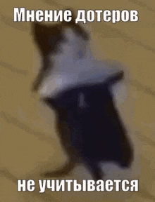 a black and white cat is sitting on another cat 's back with a caption in russian .