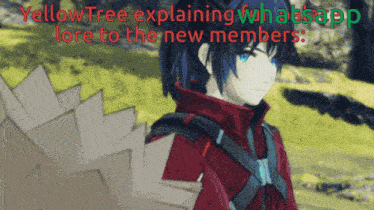 a yellow tree explaining whatsapp to new members