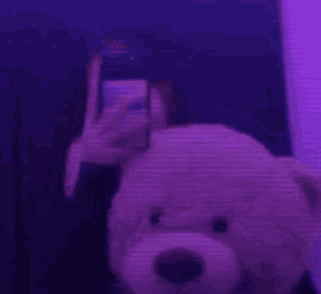 a person is holding a teddy bear and taking a picture of themselves with a cell phone .