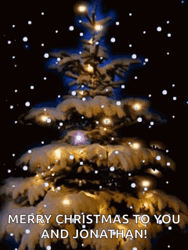 Merry Christmas Christmas GIF - Merry Christmas Christmas Christmas Tree GIFs