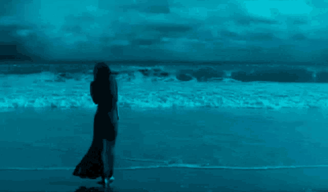a woman in a black dress stands on a beach looking at the ocean