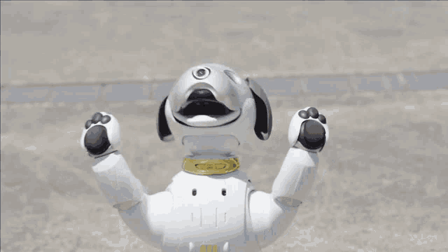 a white robotic dog with a gold collar is standing on the ground