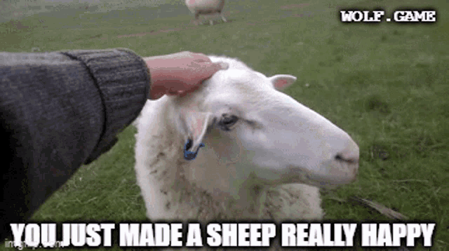 Made A Sheep Happy Wool GIF