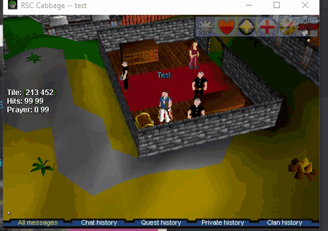 a screenshot of a video game called rsc cabbage test