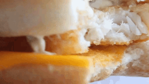 a close up of a fish sandwich with cheese on it