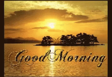 Good Morning Sunshine GIF - Good Morning Sunshine Beach GIFs