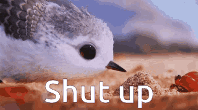Shut Up Piper GIF - Shut Up Piper Bird GIFs