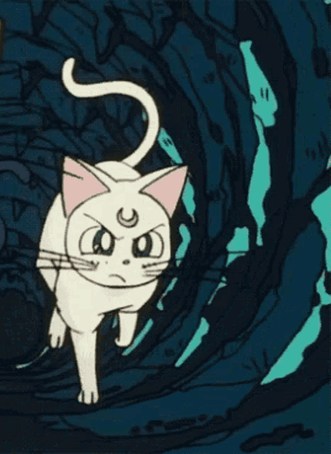 a white cat with a pink ear and a crescent moon on its forehead