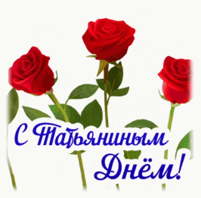 a bunch of red roses with green leaves on a white background with russian writing