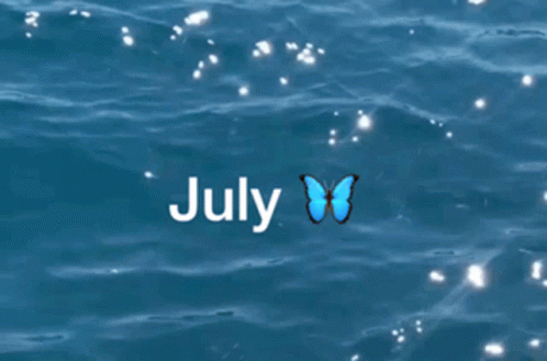 Butterfly July GIF - Butterfly July Water GIFs