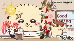 a picture of a cat with the words good morning sunshine