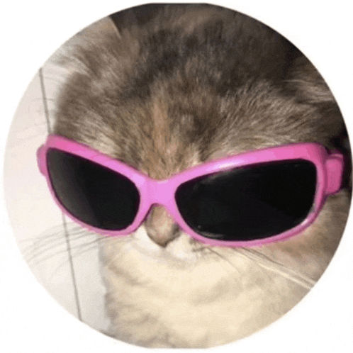a cat wearing pink sunglasses is in a circle on a white background