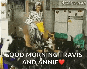a woman is standing in front of a bunch of dogs in a kitchen .