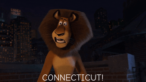 a cartoon lion has his hands on his head and the word connecticut is below him