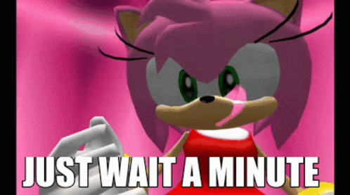Amy Rose Just Wait A Minute Amy GIF - Amy Rose Just Wait A Minute Amy Amy Just Wait A Minute GIFs