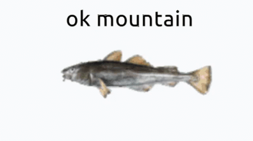 Ok Mountain GIF - Ok Mountain Ok Mountain GIFs
