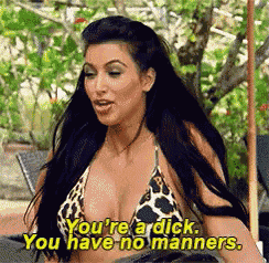 a woman in a bikini says you 're a dick . you have no manners .