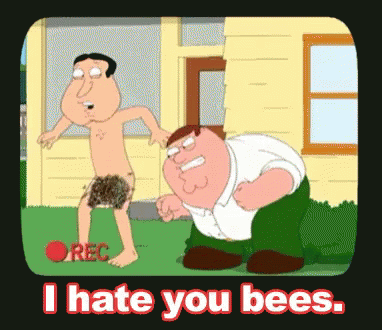 I Hate You Bees Family Guy GIF - I Hate You Bees Peter Griffin Glenn Quagmire GIFs