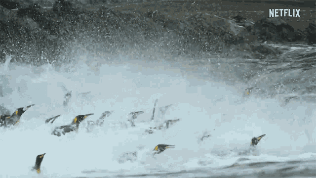 Splash Get Away GIF - Splash Get Away Penguin GIFs