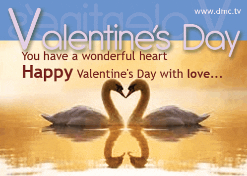 a valentine 's day greeting card with two swans in the water