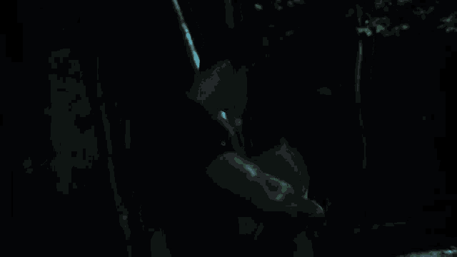 a man and a woman are hugging in the dark in a dark room .