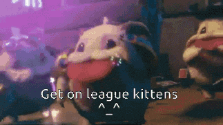 a picture of a stuffed animal with the words get on league kittens on it