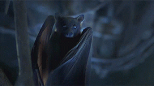Bats Flying GIF - Bats Flying GIFs