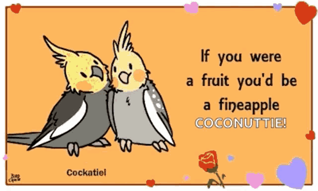 a greeting card with two cockatiels and the words " if you were a fruit you 'd be a fineapple coconuttie "