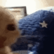 a close up of a cat 's face with a star on it .
