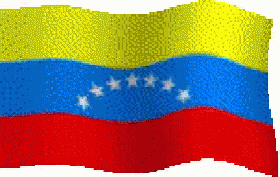 Venezuela Flag GIF - Venezuela Flag GIFs