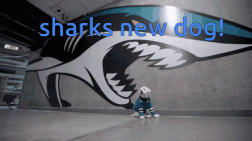 Nhl Sharks New Dog GIF - Nhl Sharks New Dog Dog GIFs