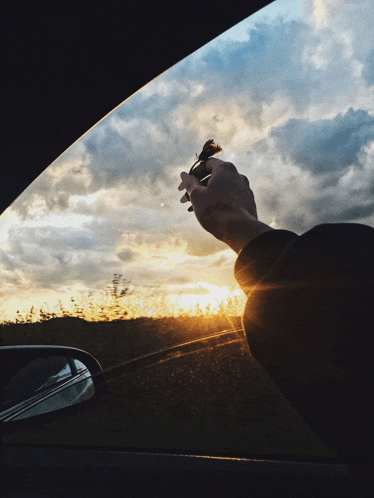 a person holding a flower in their hand while looking out of a car window at sunset