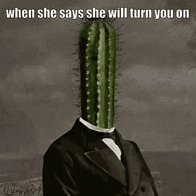 She Will Turn You On Cactus GIF - She Will Turn You On Cactus Maracactus GIFs