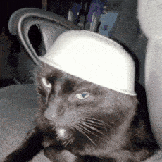 a black cat is wearing a white hat on its head .