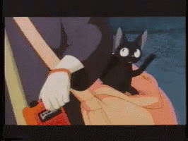 魔女の宅急便　ジジ　ジブリ GIF - Ghibli GIFs