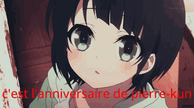 a picture of a girl with the words " c'est l' anniversaire de pierre-kun " on the bottom