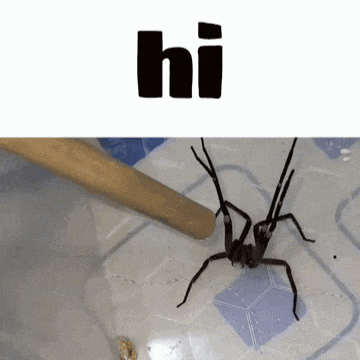 a spider is crawling on a tiled floor next to a wooden stick that says hi .